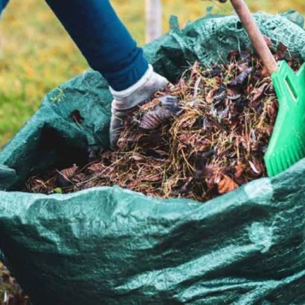 spring clean up
