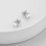 silver earrings