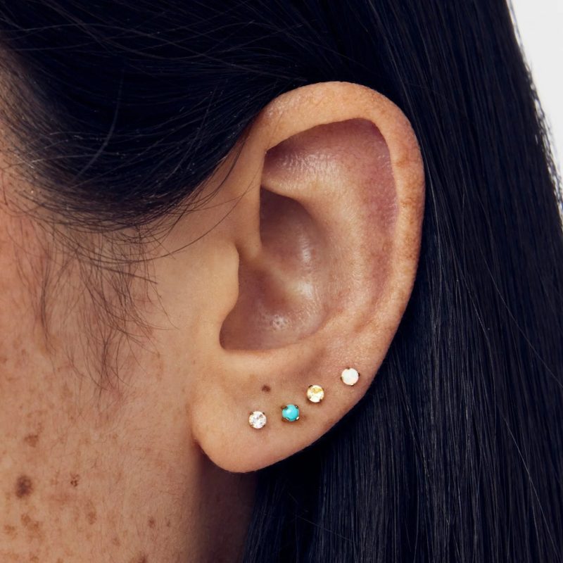 titanium earrings