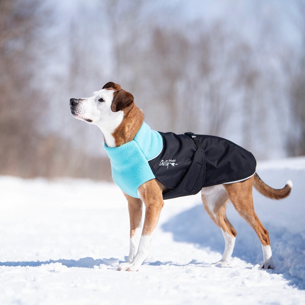 winter coats for dogs