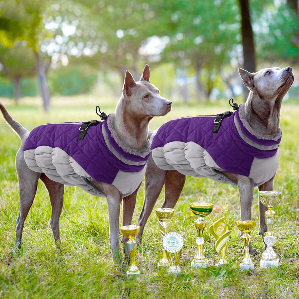 winter coats for dogs