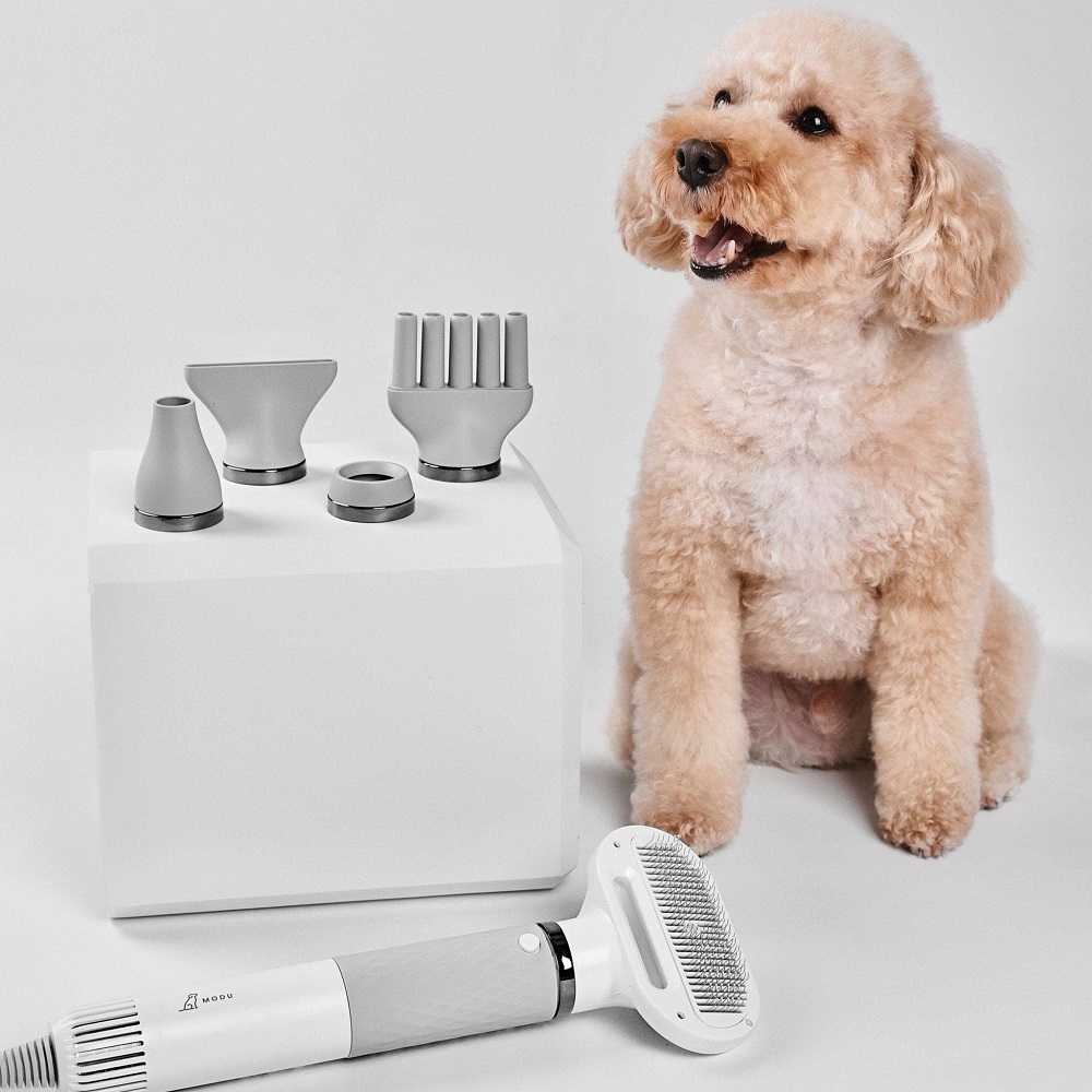 pet hair dryers
