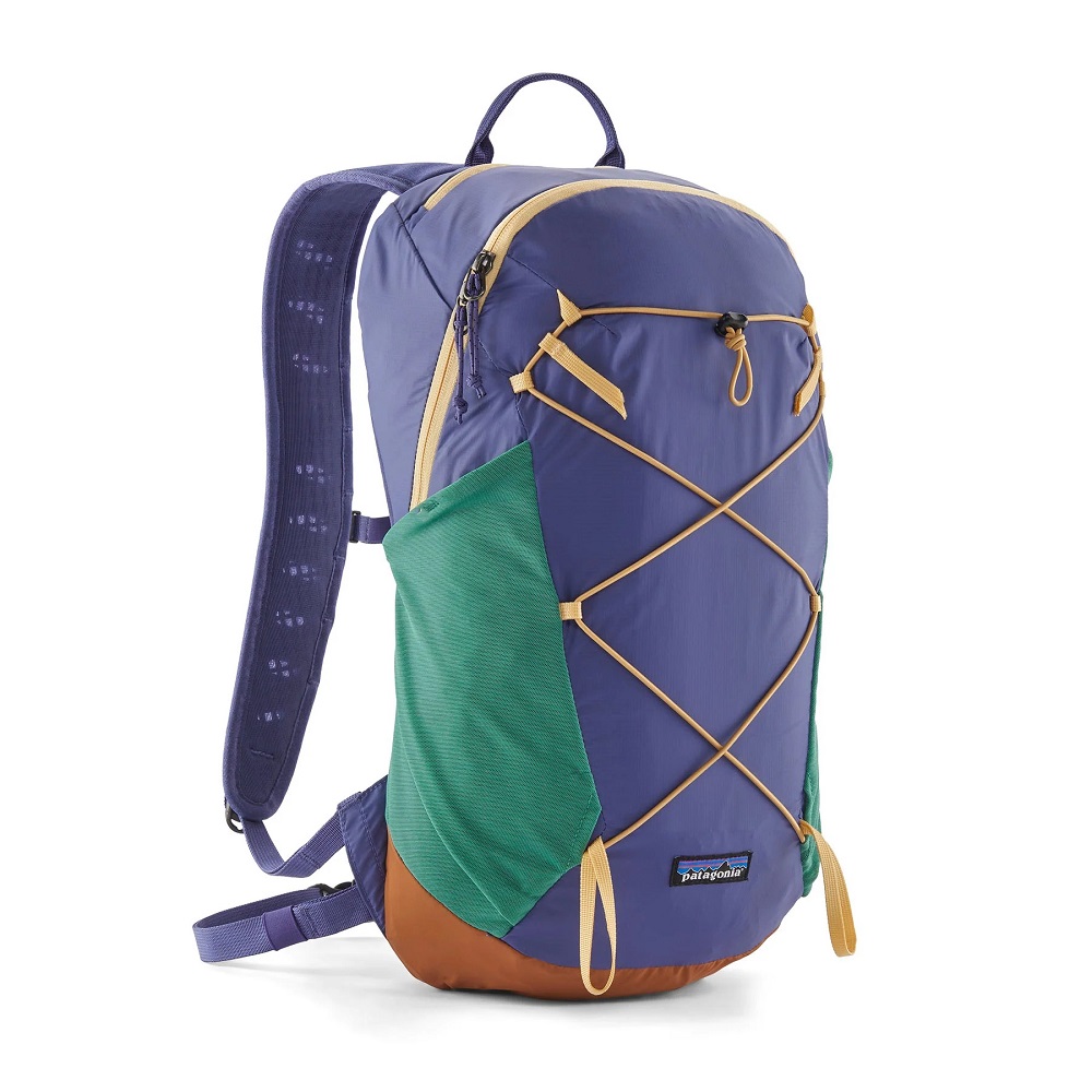 patagonia backpacks